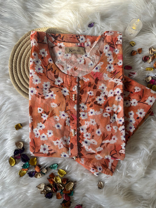 Orange daisy