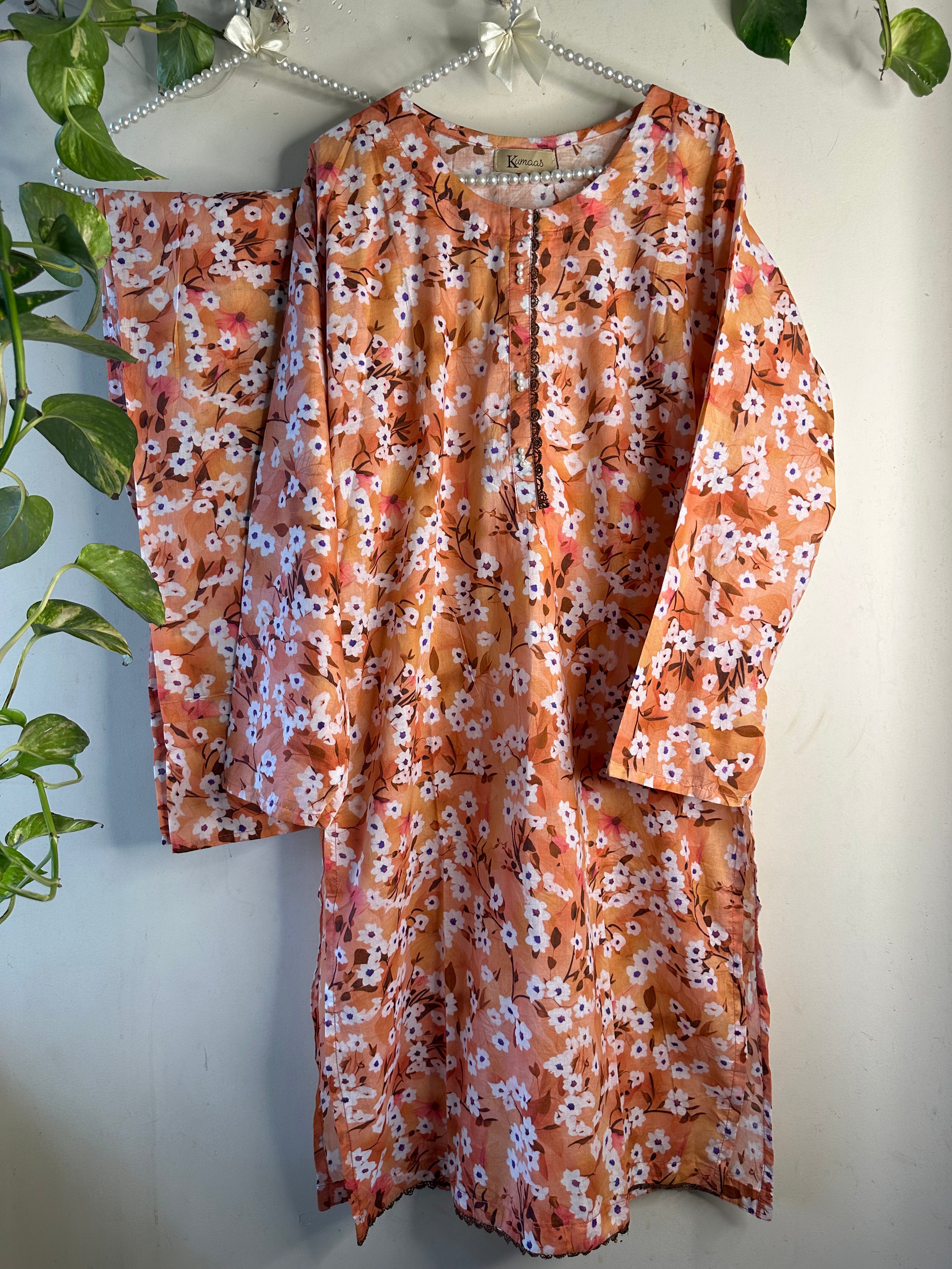 Orange daisy