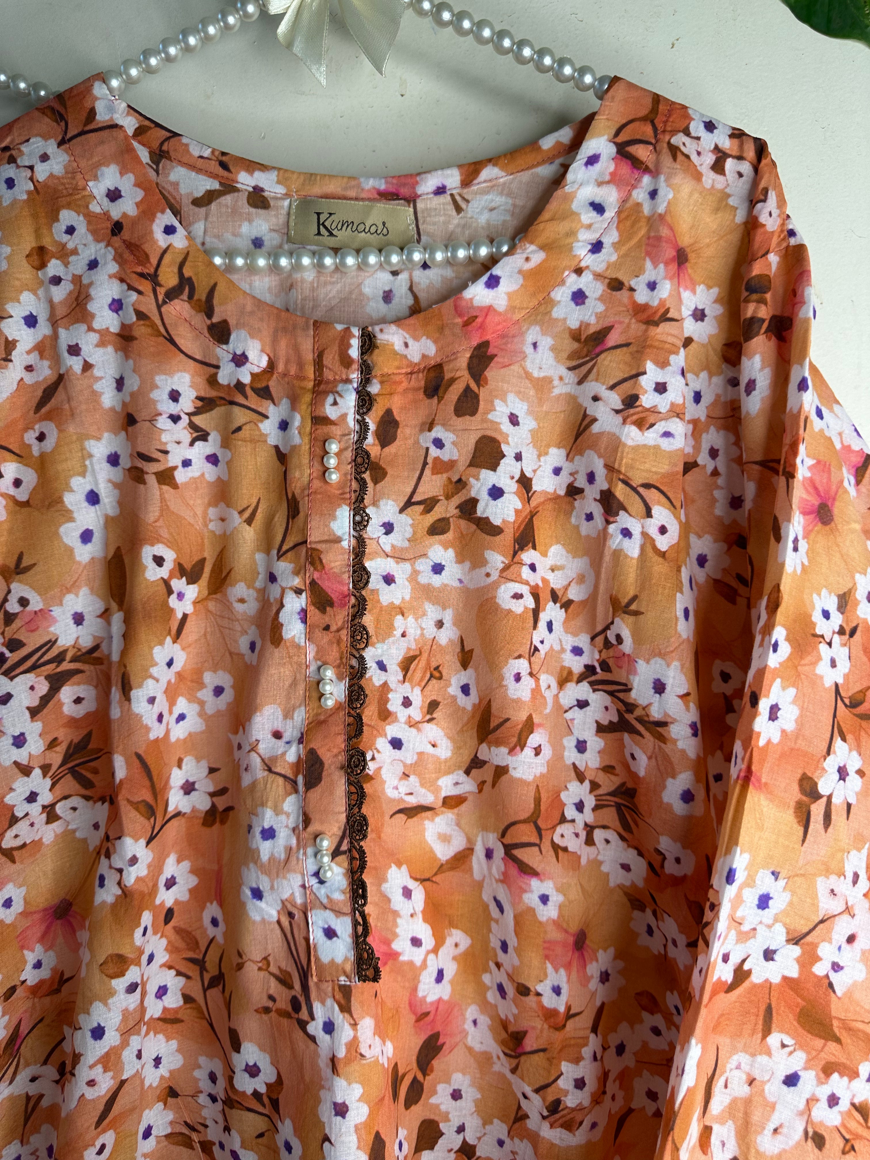 Orange daisy